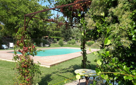 Appartamento La Torretta Di Pietra, Wifi, Perugia: Arbusto, Giardino, Shade, Primavera, Backyard, Cortile, Prato, Landscaping, Vaso Di Fiori