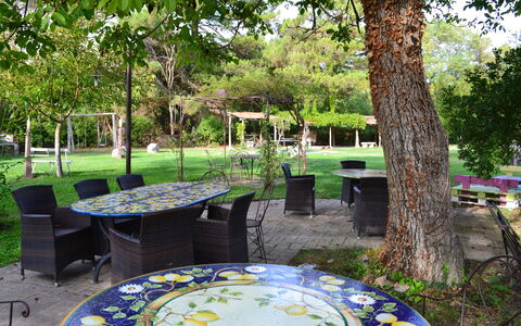 Appartamento La Torretta Di Pietra, Wifi, Perugia: Mobilia, Tavolo, Mobili Da Esterno, Sedia, Giardino, Tavolo Esterno, Shade, Prato, Primavera, Backyard