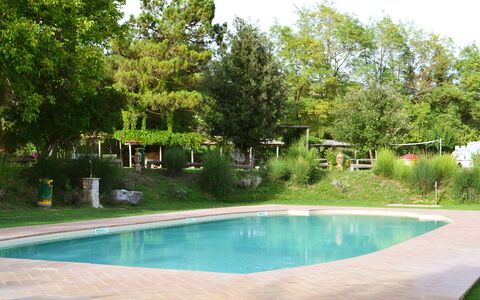 Appartamento Vele, Wifi, Near Perugia: Swimming Pool, Tree, Resort, Shade, Garden, Outdoor Furniture, Leisure, Backyard, Landscaping, Water Feature