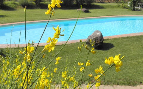 Appartamento Rustico, Wifi, Perugia: Giallo, Primavera, Giardino, Prato, Landscaping, Cortile, Parco, Wildflower, Giardino Botanico