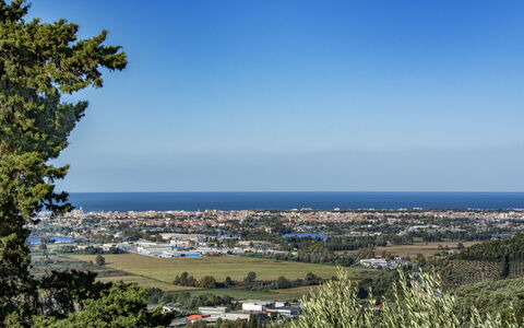 Casale La Pieve: Cielo, Blu, Giorno, Orizzonte, Sempreverde
