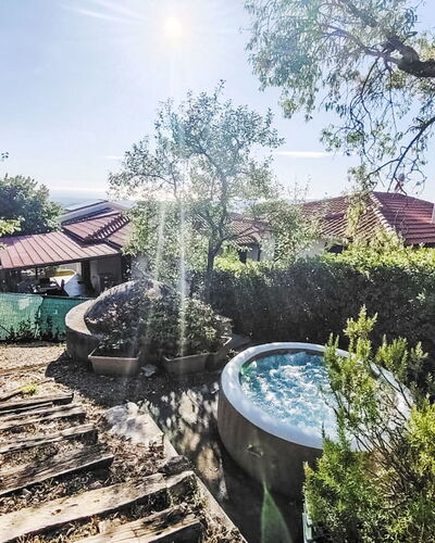 Bruna: Swimming Pool, Garden, Backyard, Landscaping, Water Feature, Estate, Eco Hotel, Shade, Resort, Yard