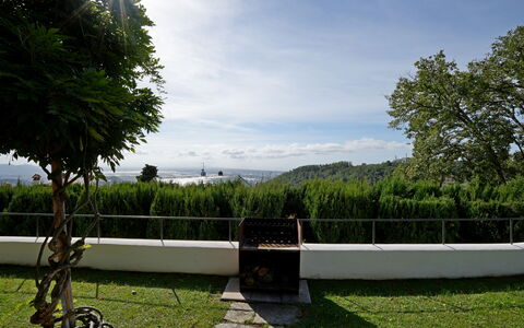 Villa Corsanico: Sunlight, Garden, Lawn, Shade, Landscaping, Evergreen, Park