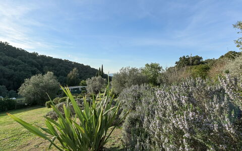 Augusta: Vegetation, Shrub, Plant Community, Garden, Shrubland, Botanical Garden, Plantation
