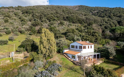 Augusta: Vegetation, Rural Area, Highland, Shrub, Landscape, House, Hill, Plant Community, Cottage