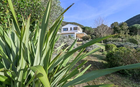 Augusta: Garden, Landscaping, Estate, Plantation, Botanical Garden, Villa