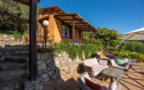 Villa Argentina: Arbusto, Eco Hotel, Villetta, Giardino, Estate, Ricorrere, Landscaping, Backyard, Mobili Da Esterno, Cortile