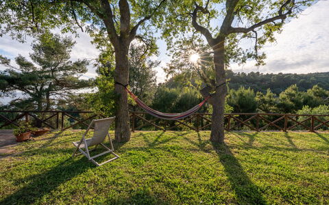 Villa Argentina: Ramo, Legna, Mobilia, Paesaggio, Tronco, Luce Del Sole, Shade, Giardino, Mobili Da Esterno, Ramoscello