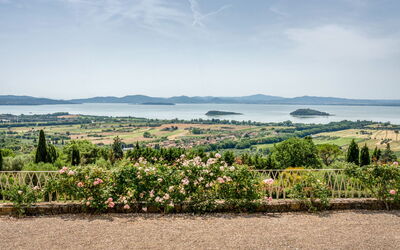 Villa Domus Papi