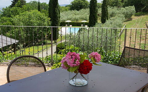 Agriturismo Agresto Apartments And Cottage, Pool,: Mobilia, Tavolo, Mobili Da Esterno, Sedia, Tavolo Esterno, Cucina & Sala Da Pranzo Tavolo, Tavolino Da Caffè, Shade, Giardino, Terrazza