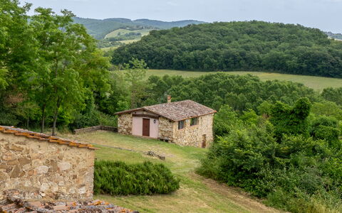 In the Heart of Chianti, Pool, Wifi, View - Lillia: Erba, Albero, Casa, Pascolo, Area Rurale, Villetta, Lotto, Agriturismo, Tetto