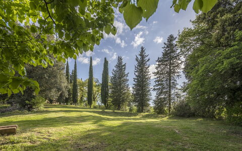 Cottage Monti Pet Friendly With Shared Pool: Foglia, Albero, Natura, Ambiente Naturale, Verde, Ramo, Vegetazione, Paesaggio Naturale, Arbusto, Comunita 'Impianto