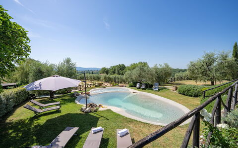 Villa Elsa di Bibbiano Pool, Sauna and View: Giardino, Prato, Prato, Estate, Landscaping, Cortile, Piscina, Backyard, Hacienda, Parco