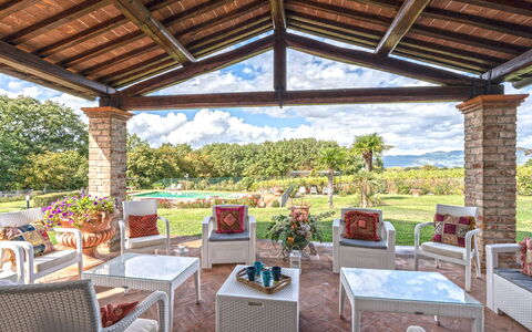 Dimora Di Castroncello: Giardino, Estate, Ricorrere, Eco Hotel, Shade, Hacienda, Villetta, Landscaping, Sedia, Agriturismo