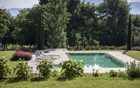 Villa Cortona: Eco-Sustainable Luxury Estate with: Arbusto, Giardino, Piscina, Landscaping, Backyard, Shade, Prato, Flagstone, Cortile, Mobili Da Esterno