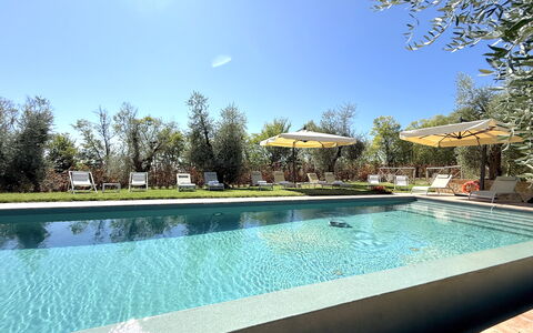 Villa del Mangia - Luxury Villa with Infinity Pool: Swimming Pool, Tree, Resort, Outdoor Furniture, Garden, Shade, Eco Hotel, Landscaping, Hacienda, Estate