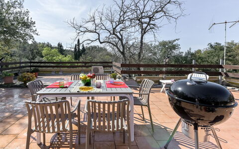 Vega: Swimming Pool, Resort, Villa, Eco Hotel, Hotel, Hacienda, Resort Town