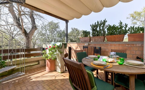 Vega: Swimming Pool, Resort, Villa, Eco Hotel, Hotel, Hacienda, Resort Town