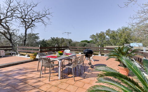 Vega: Swimming Pool, Resort, Villa, Eco Hotel, Hotel, Hacienda, Resort Town