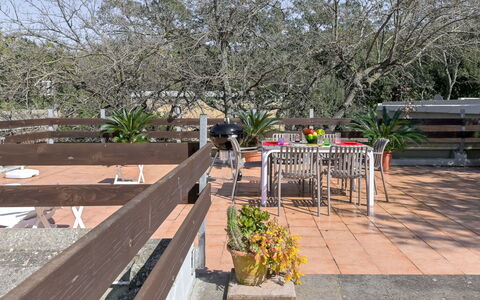 Vega: Swimming Pool, Resort, Villa, Eco Hotel, Hotel, Hacienda, Resort Town