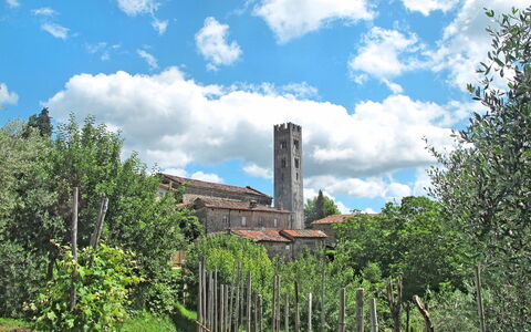 Viola: Torre, Paesaggio, Lotto, Prato, Villaggio, Camino, Guglia, Piantagione