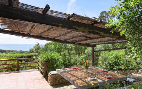 La Tagliata: Legna, Mobilia, Mobili Da Esterno, Latifoglie, Color Legno, Shade, Tavolo Esterno, Struttura Esterna, Giardino, Pergola