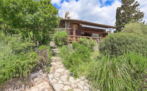 La Tagliata: Arbusto, Comunita 'Impianto, Giardino, Groundcover, Villetta, Landscaping, Agriturismo, Struttura Esterna, Shrubland