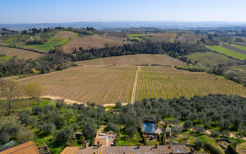 Casa Meletta: Paesaggio, Area Rurale, Visione Globale, Lotto, Agricoltura, Fotografia Aerea, Piantagione, Campo, Plain, Chaparral