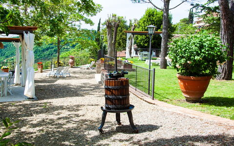 Agriturismo Casa Da Pietro: Mobilia, Giardino, Mobili Da Esterno, Primavera, Vaso Di Fiori, Shade, Backyard, Cortile, Landscaping