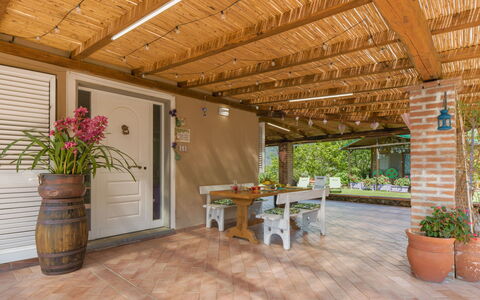 Casa al Pianaccio: Wood, Furniture, Flooring, Ceiling, Floor, Interior Design, Porch, Flowerpot, Wood Stain, Chair