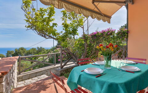 Sunny House: Mobilia, Pavimentazione, Interior Design, Legna, Cucina & Sala Da Pranzo Tavolo, Pavimento, Sedia, Tavolo, Sala Da Pranzo, Soffitto