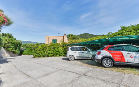 Sunny House: Mobilia, Pavimentazione, Interior Design, Legna, Cucina & Sala Da Pranzo Tavolo, Pavimento, Sedia, Tavolo, Sala Da Pranzo, Soffitto