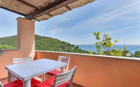Sunny House: Mobilia, Pavimentazione, Interior Design, Legna, Cucina & Sala Da Pranzo Tavolo, Pavimento, Sedia, Tavolo, Sala Da Pranzo, Soffitto