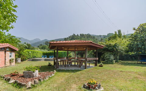 Titta: Albero, Paesaggio, Area Rurale, Lotto, Hill Station, Giardino, Villetta, Agriturismo, Catena Montuosa