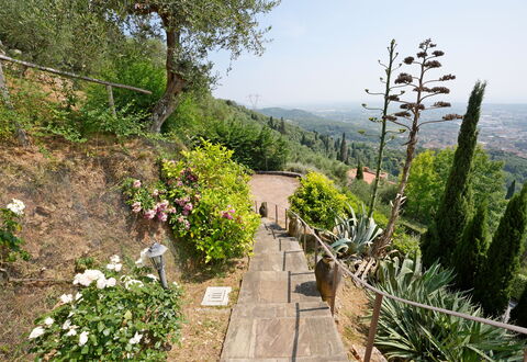 Uno Sguardo sul Mare: Vegetazione, Arbusto, Paesaggio, Comunita 'Impianto, Giardino, Groundcover, Passerella, Trail, Giardino Botanico