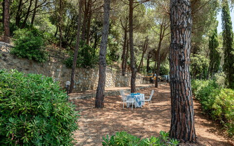 Sabrina: Tree, Leaf, Vegetation, Branch, Shrub, Spring, Woody Plant, Garden, Shade, Woodland