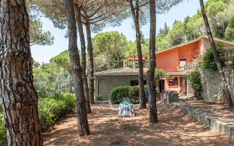 Sabrina: Shrub, Home, Garden, Cottage, Estate, Landscaping, Hacienda, Farmhouse, Eco Hotel, Backyard