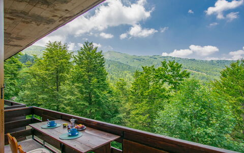 Bravone: Shade, Balcone, Pianta Della Casa, Vaso Di Fiori