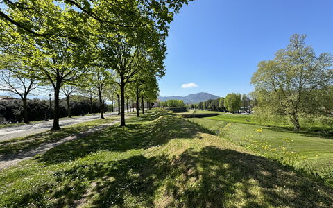 Il Cervo In Città: Verde, Erba, Natura, Paesaggio Naturale, Vegetazione, Pascolo, Collina, Plain, Paesaggio, Lotto