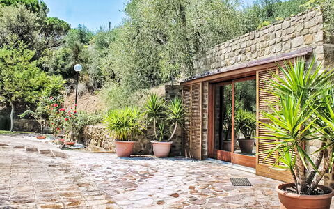 Villa Anna: Flowerpot, Shrub, Flagstone, Garden, Houseplant, Shade, Cobblestone, Brick, Landscaping