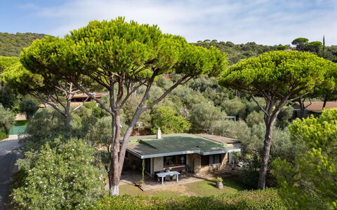 Villa Anna: House, Home, Roof, Cottage, Shrub, Siding, Estate, Farmhouse, Garden, Landscaping