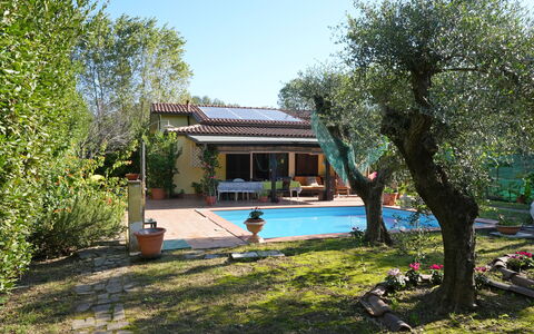 La Sevillana: Casa, Giardino, Backyard, Hacienda, Shade, Cortile, Villetta, Estate, Landscaping, Agriturismo