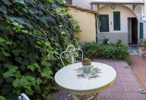 Carmine Apartment San Frediano: Verde, Vaso Di Fiori, Pianta Della Casa, Giardino, Shade, Cortile, Erba