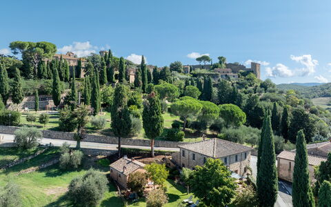 Maria Gabriella Holiday Home In Monticchiello: Albero, Vegetazione, Arbusto, Paesaggio, Lotto, Area Rurale, Estate, Landscaping, Villaggio