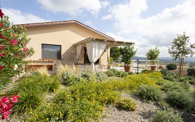 Roccastrada 57: Shrub, Plant Community, Garden, Land Lot, Groundcover, Landscaping, Herbaceous Plant, Shrubland, Backyard