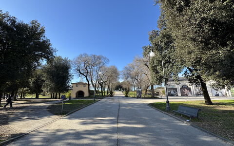 Casa Capolino: Albero, Erba, Ramo, Manto Stradale, Spazio Pubblico, Woody Impianto, Shade, Parco, Driveway, Marciapiede