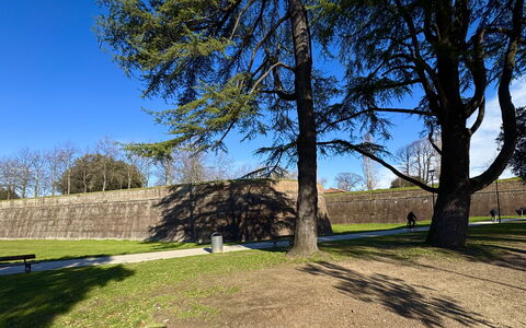 Casa Capolino: Erba, Albero, Mattina, Prato, Ombra, Muro ​​Di Pietra, Parco, Passerella, Sentiero