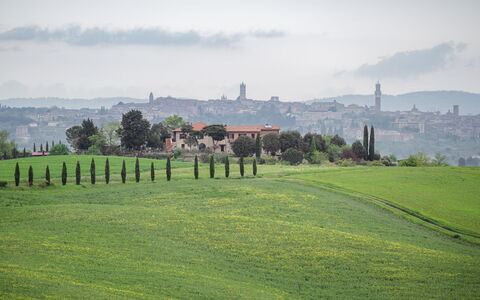 La Casina Cottage: Erba, Pascolo, Orizzonte, Paesaggio, Plain, Collina, Lotto, Prato, Campo, Area Rurale