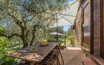 Alloggio:&nbsp;La Foresta 625.4