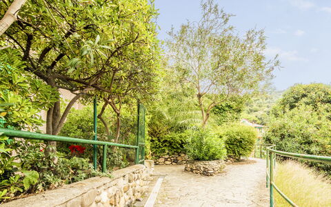 Casa Dolly, Monterosso 5 Terre: Verde, Vegetazione, Arbusto, Primavera, Giardino, Shade, Giardino Botanico, Landscaping, Recinzione, Passerella